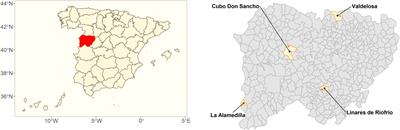 Health condition and mycobiome diversity in Mediterranean tree species